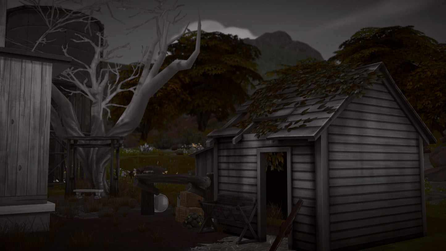 14 GLEN ROAD - ABANDONED FARMHOUSE